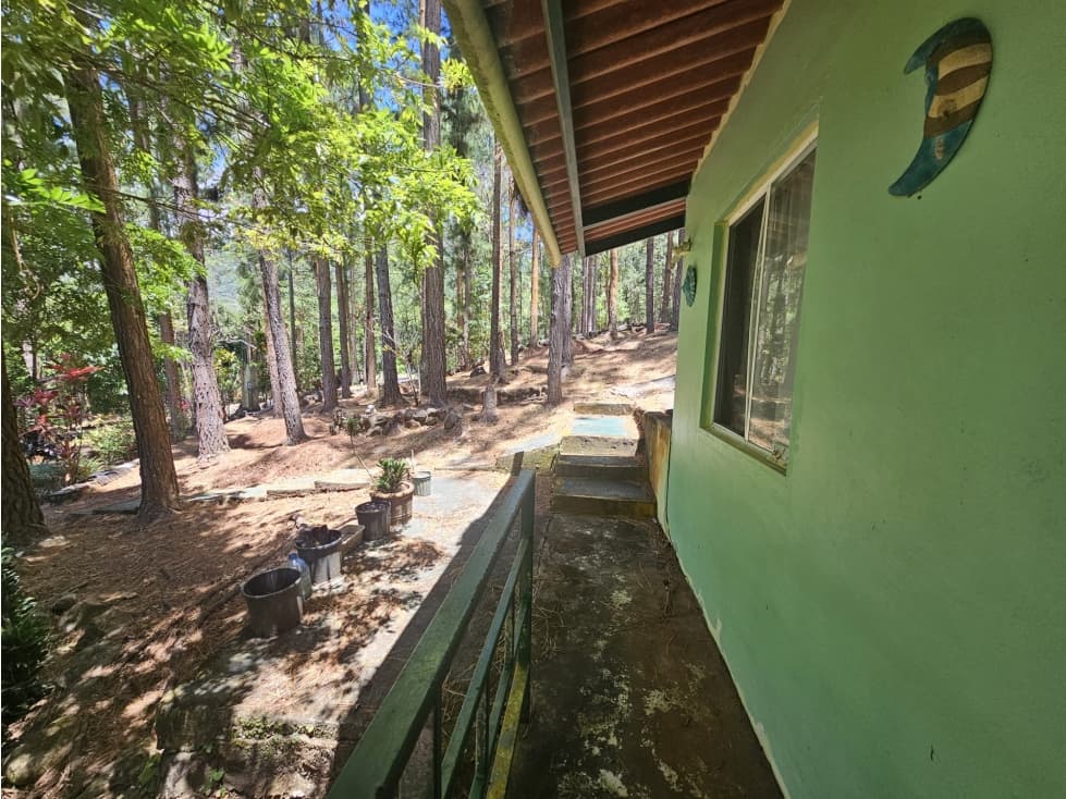 VENTA DE TERRENO CON CASA EN ALTOS DE MARIA — foto 5