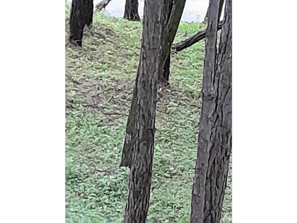Terreno en Venta, Altos del Maria — foto 1