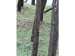 Terreno en Venta, Altos del Maria