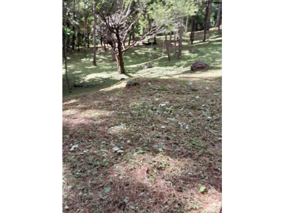 Terreno en Venta, Altos del Maria — foto 2