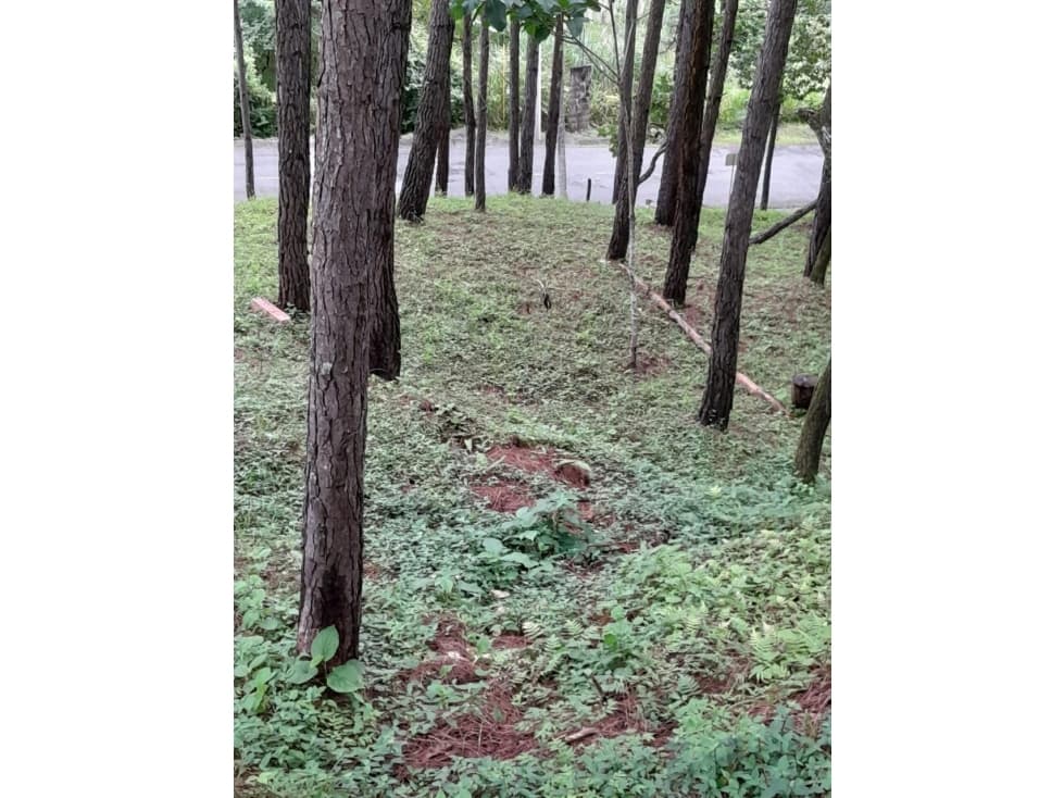 Terreno en Venta, Altos del Maria — foto 3