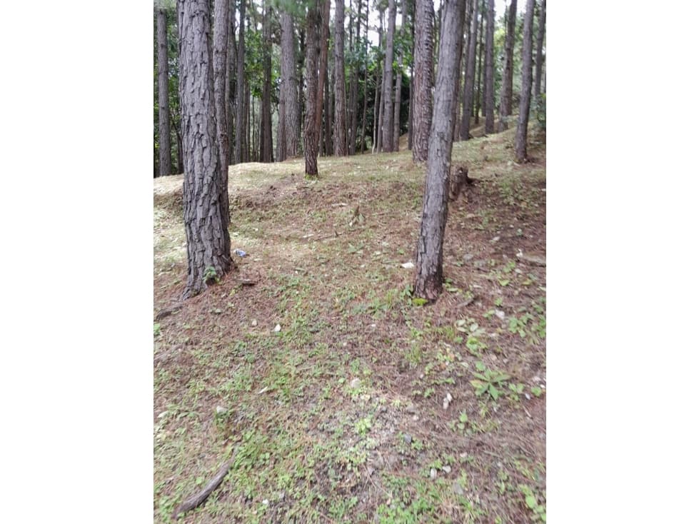 Terreno en Venta, Altos del Maria — foto 4