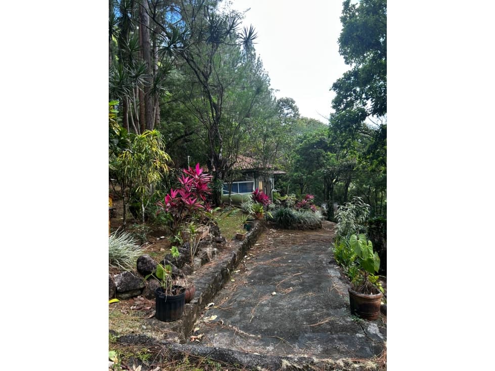 VENTA DE TERRENO EN ALTOS DE MARIA — foto 5