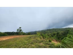 Oportunidad Ecológica en Cerro Azul: 55 Hectáreas de Bosque con Agua