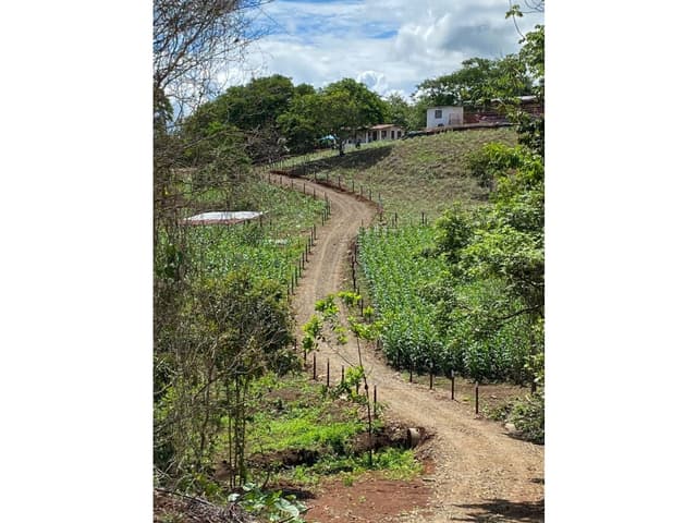 Finca en Venta en Capira, Panamá Oeste | 17.31 Hectáreas con Agua Viva