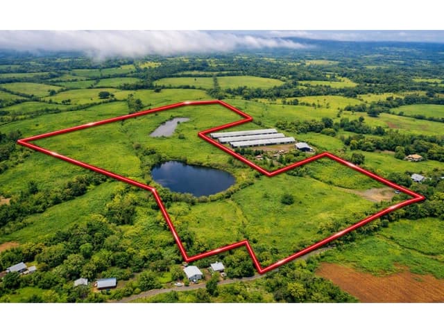 Finca Productiva con Lagos en Mendoza, La Chorrera | 216,160 m2