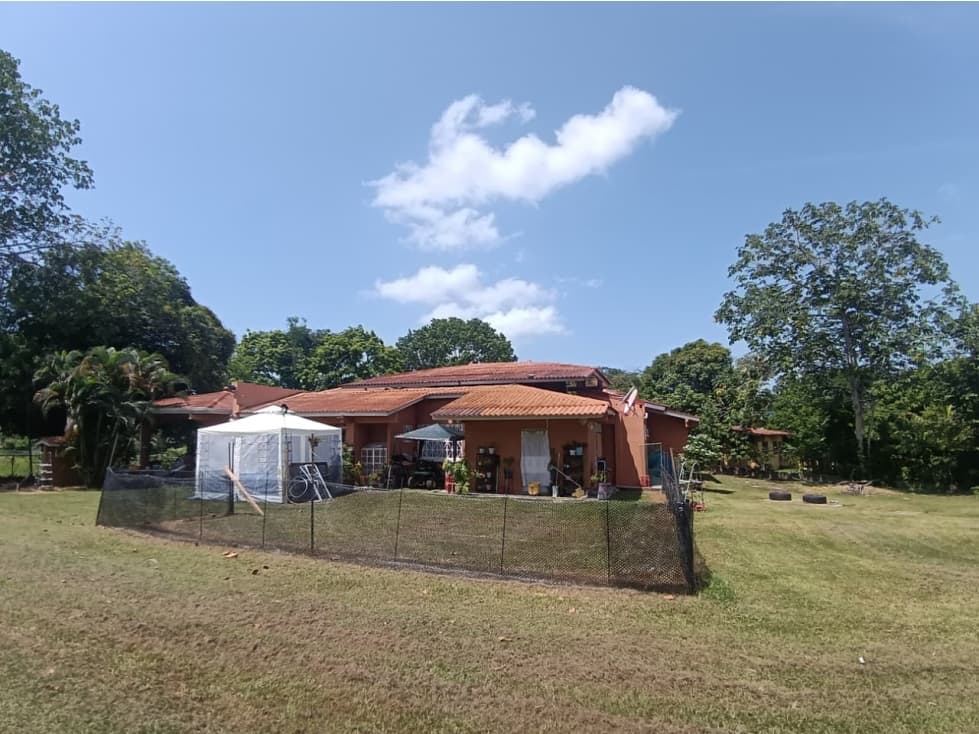 VENTA CASA TERRENO NUEVA GORGONA — foto 3