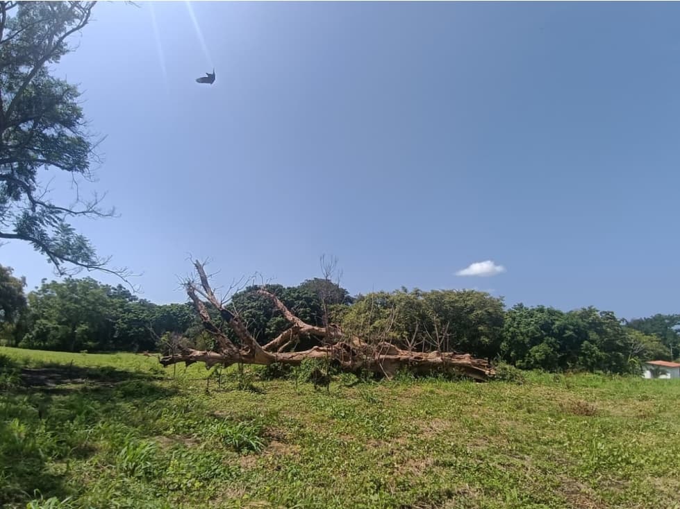 VENTA CASA TERRENO NUEVA GORGONA — foto 6