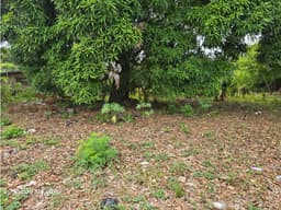 VENTA DE CASA EN AGUADULCE