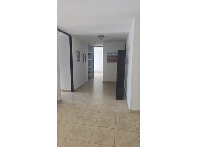 ALQUILER DE APARTAMENTO EN EL CANGREJO