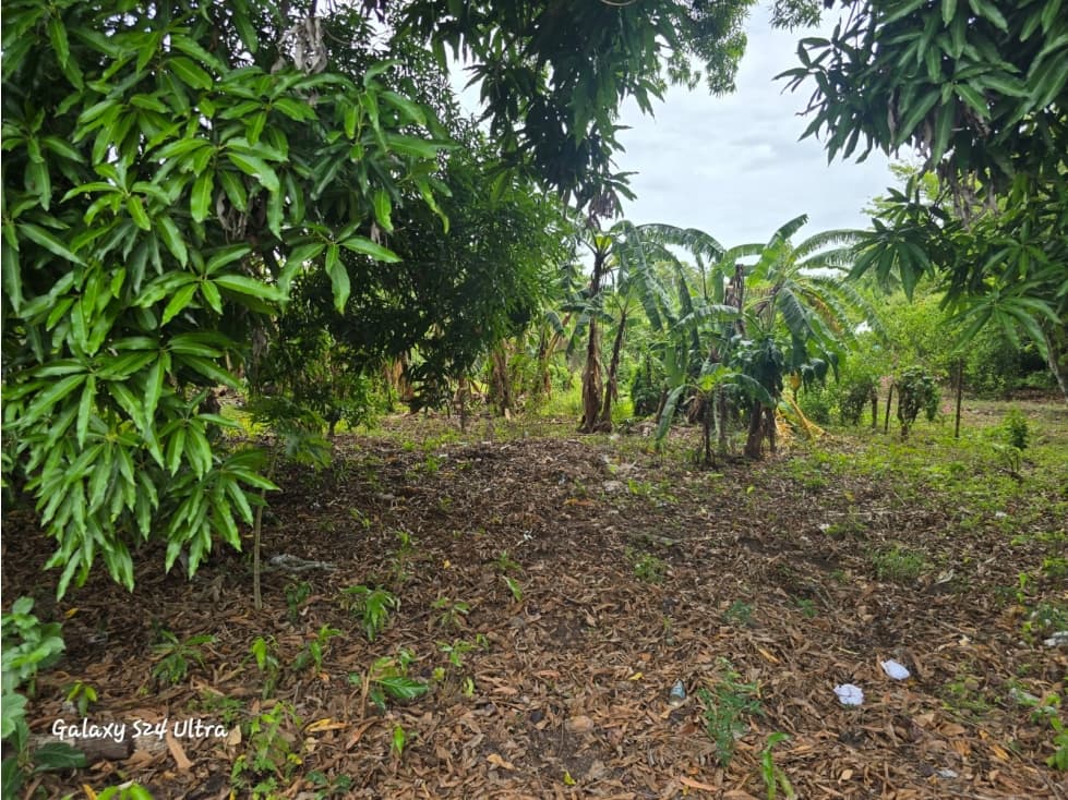 VENTA DE CASA EN AGUADULCE — foto 5
