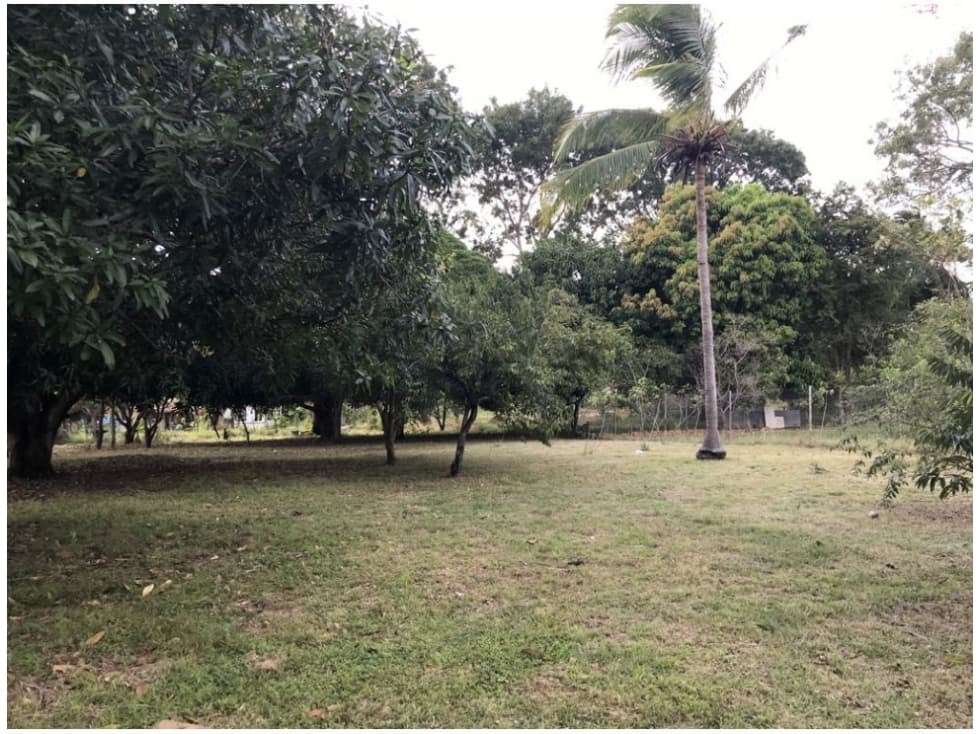 Se Vende Terreno en Gorgona — foto 1