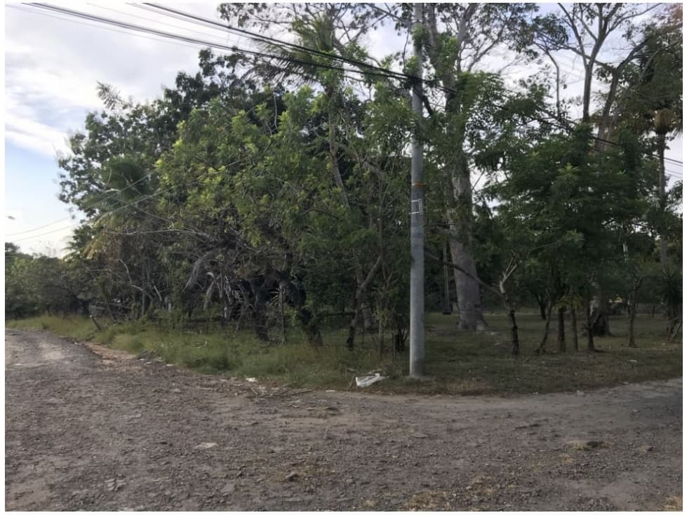 Se Vende Terreno en Gorgona — foto 6