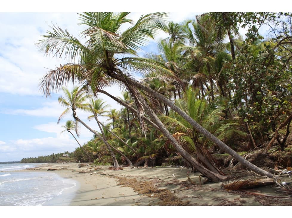 Cabin for Sale in Arcadia Beach, Costa Abajo — foto 6