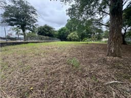 Terreno en Alquiler cerca de la Unachi en David