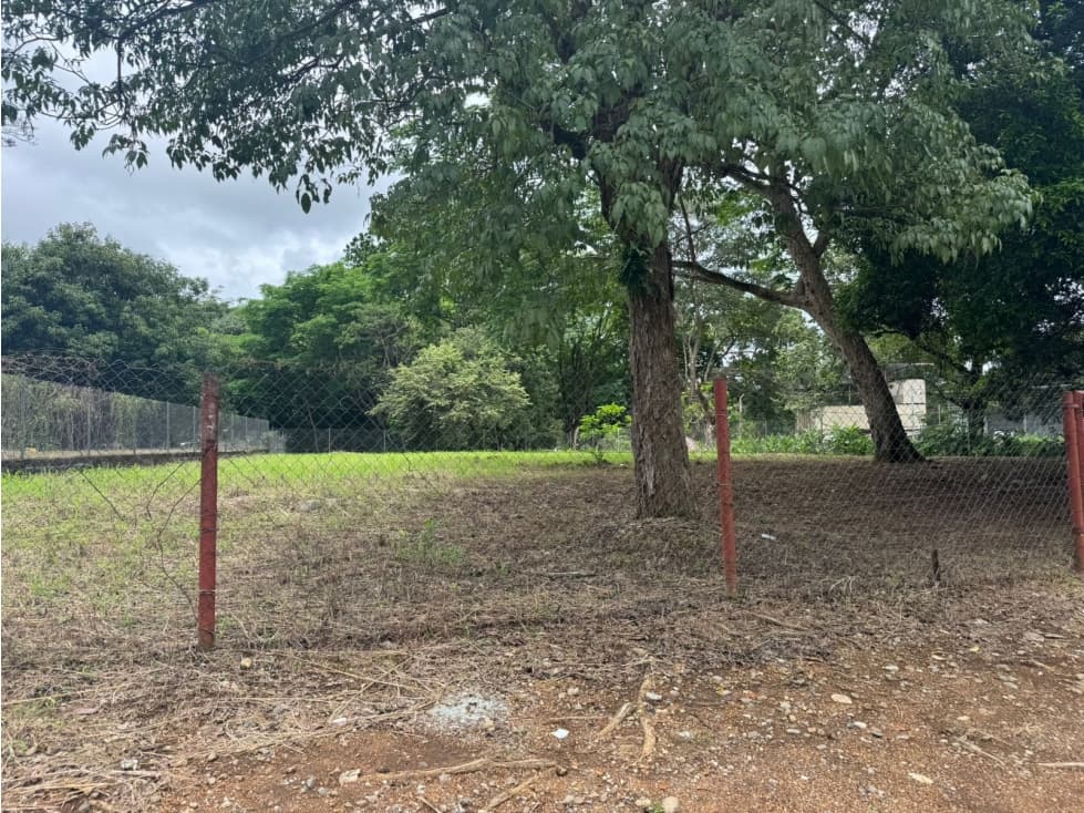 Terreno en Alquiler cerca de la Unachi en David — foto 3