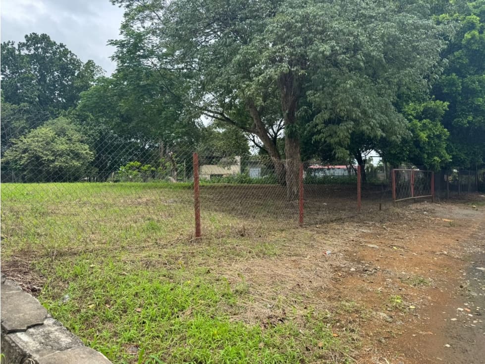 Terreno en Alquiler cerca de la Unachi en David — foto 4