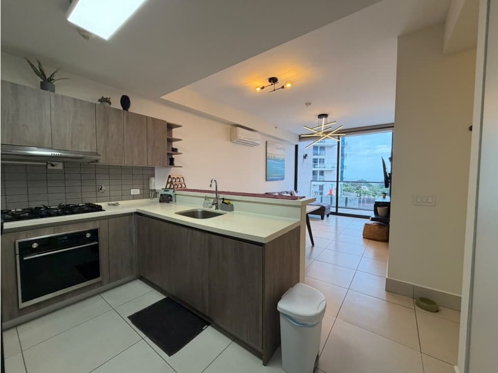 APTO ALQUILER PH COCO PLACE — foto 3