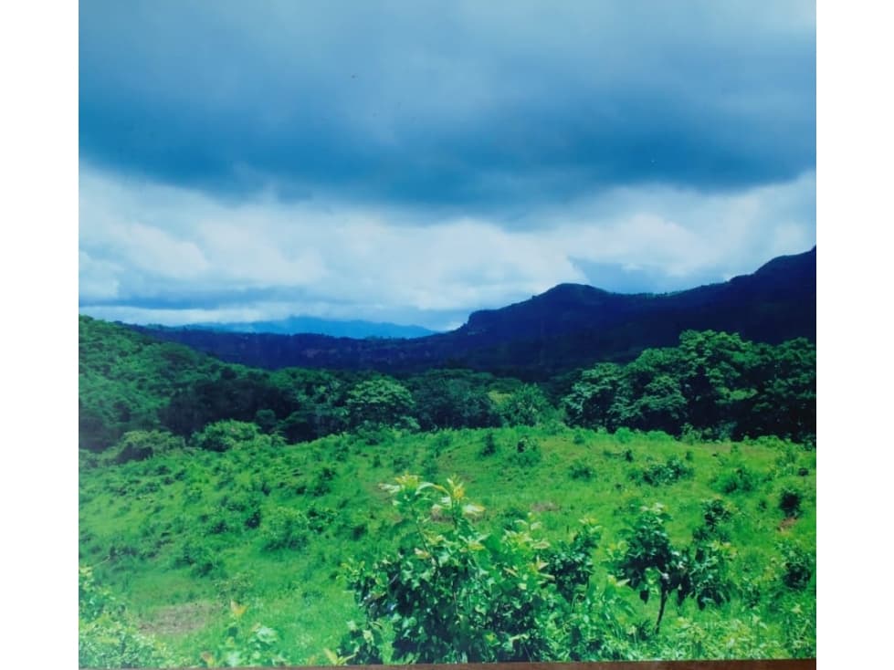 Venta de Lote en Chame, Bejuco — foto 1