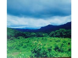 Venta de Lote en Chame, Bejuco