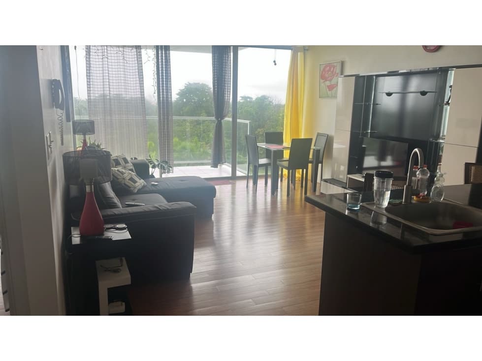Venta de Apartamento de Playa, Colon, PH Bala Beach. — foto 5