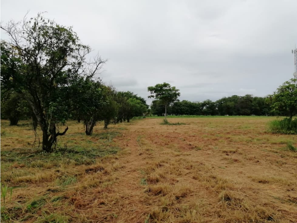 TERRENO / CORONADO BOULEVARD / 3 FINCAS / CERCA DEL MAR — foto 6