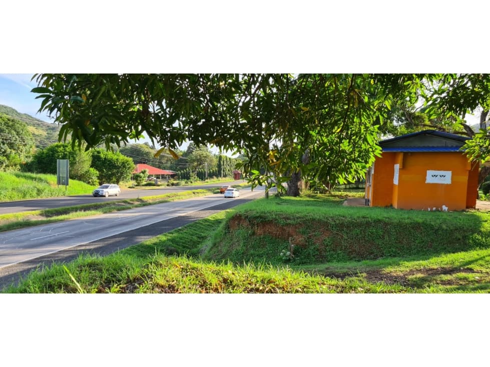 TERRENO COMERCIAL / SAJALICES / 10,000M2 / VIA INTERAMERICANA — foto 4
