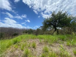 TERRENO / SAN CARLOS / 2200 M2 / PLAYA LA ERMITA / CERCA DEL MAR