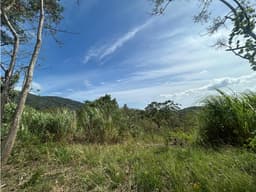 TERRENO / ARRAIJAN / BIQUE / 3 HECTAREAS / POZO DE AGUA