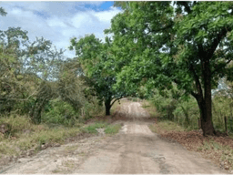 SE VENDE TERRENO EN CHAME LAS LAJAS 3.03 HECTAREAS ZONAS VERDES