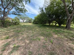 TERRENO / CHAME / 2000 M2 / PLAYA MALIBU / SEGUNDA LINEA DEL MAR