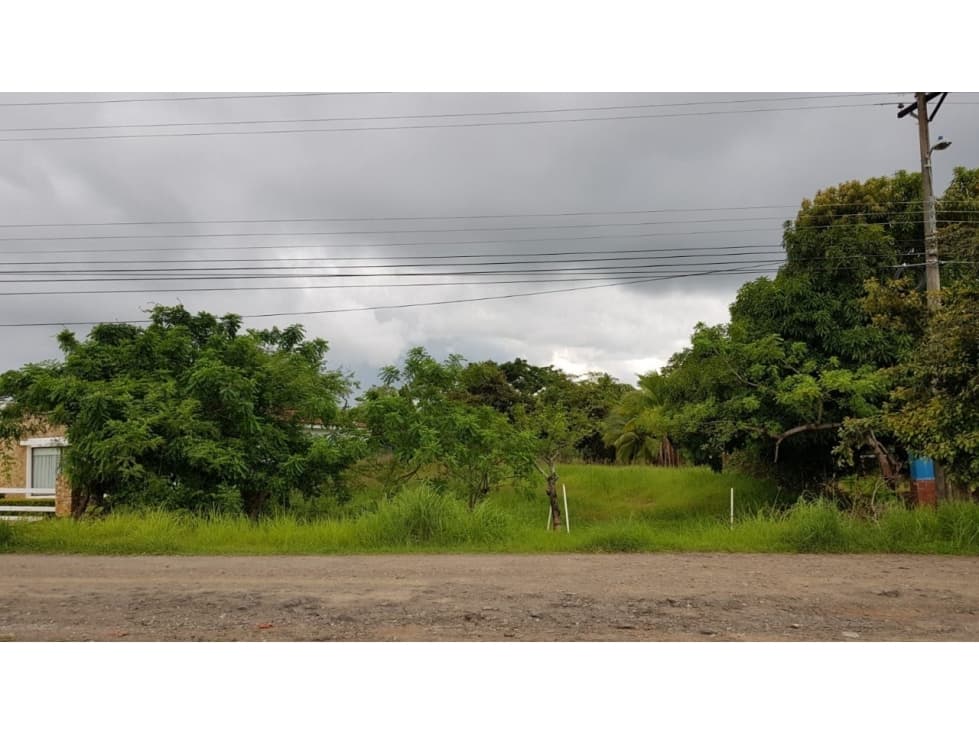 TERRENO / CORONADO / AVE. BOULEVARD / 1000m2 / NEGOCIABLE — foto 3