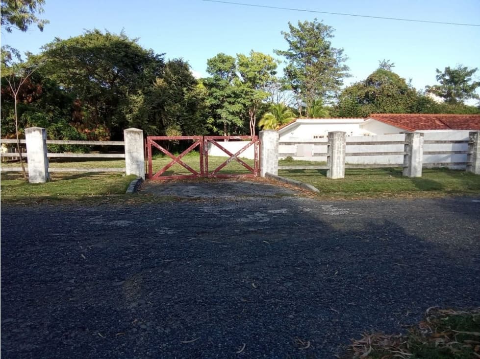 CORONADO / SECTOR LOS GUAYACANES / TERRENO CERCADO / 1300M2 — foto 2
