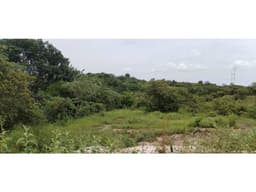 TERRENO / SAN CARLOS / EL NANCE / 7000M2 / ACCESO AL RIO