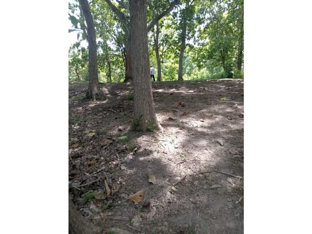 SE VENDE TERRENO 4 HECTÁREAS EN SAN CARLOS PIEDRAS GORDAS VISTA AL MAR