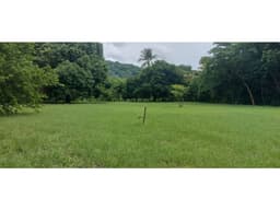 TERRENO / CHAME / EL ESPAVE / 4560 M2 / TOTALMENTE PLANO