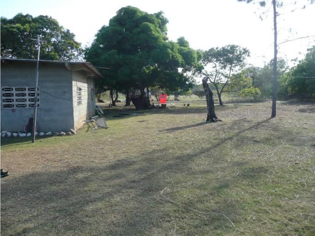 SAN CARLOS / SAN JOSE / TERRENO 2.3 HECTAREAS / POZO DE AGUA JC