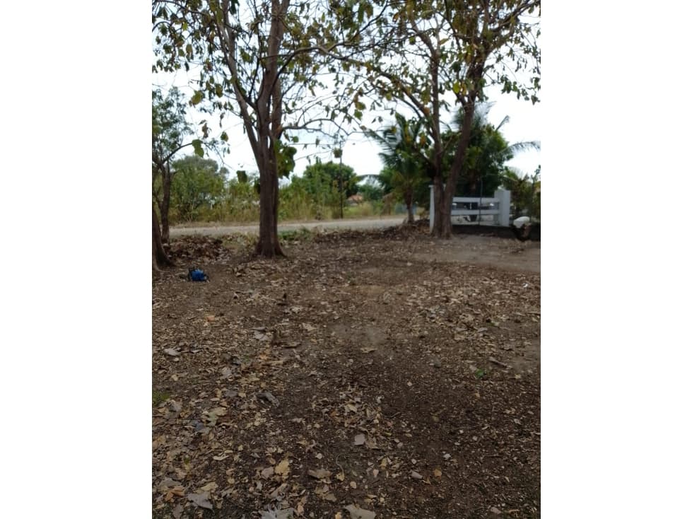 CHAME / CORONADO / TERRENO PLANO / 1000M / CERCA DE PLAYA / AG — foto 2
