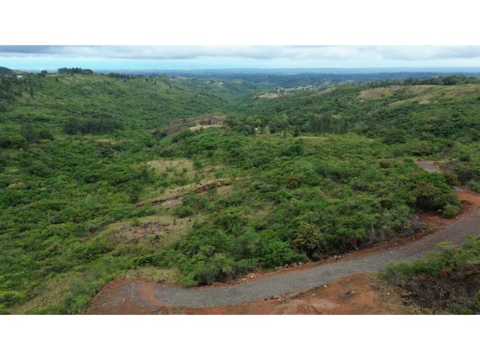 SAN CARLOS / EL NANCITO / TERRENO / SOBRE LA VIA — foto 2
