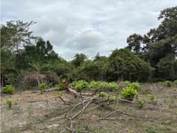 SAN CARLOS / LAS LAGARTIJAS / 250000M / GANADERIA / USO COMERCIAL AG