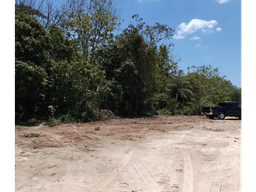 FINCA EN SAN CARLOS / LA ERMITA / 5 HECTAREAS / PARA DESARROLLO