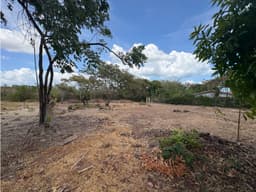 SAN JOSE / 1000M / TERRENO PLANO / SOBRE LA VIA / CERCA DE PLAYA / AG