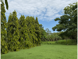 TERRENO / CHAME / LAS LAJAS / 1286 M2 / CERCA DE LA PLAYA