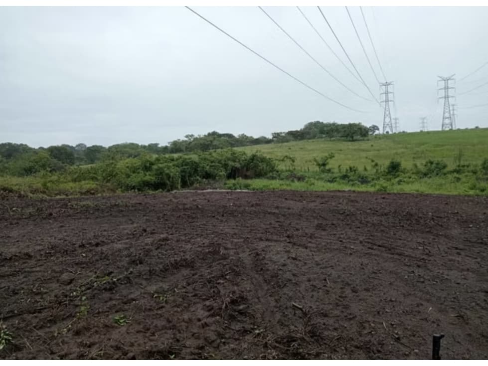 FINCA / COCLE / ANTON / 5.5 HECTAREAS / CON POZO — foto 1