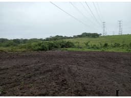 FINCA / COCLE / ANTON / 5.5 HECTAREAS / CON POZO
