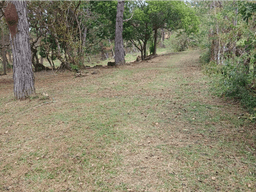 TERRENO / CHAME / CHICA / 2165 M2 / VIA ASFALTADA / CLIMAS FRESCOS