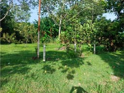 CHAME / LAS LAJAS / 1800 M2 / AMPLIO TERRENO / SOBRE VIA ASFALTADA