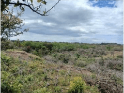 CHAME / LAS LAJAS / 3.03 HECTAREAS / TERRENO / ZONAS VERDES / RIO