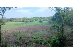 CHAME / BEJUCO / 4.5 HECTAREAS / TERRENO AMPLIO / ZONAS VERDES