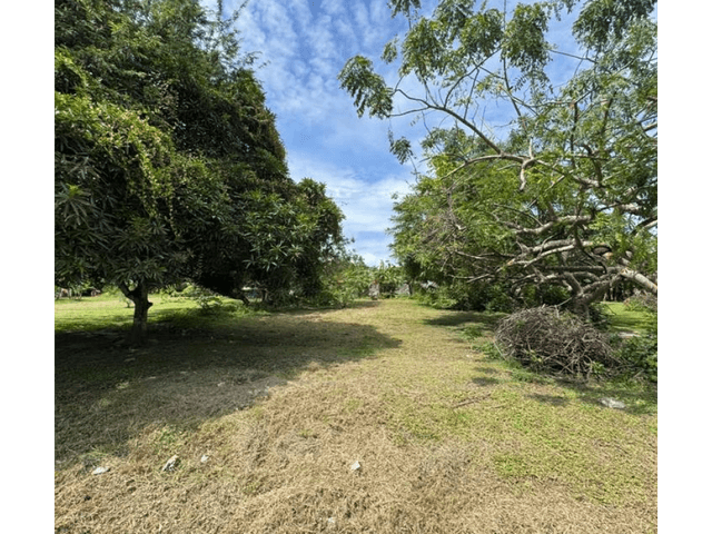CHAME / NUEVA GORGONA / 600 M2 / TERRENO / SOBRE VIA ASFALTADA